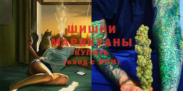 индика Белоозёрский