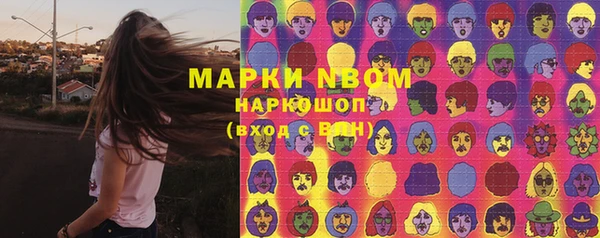 индика Белоозёрский