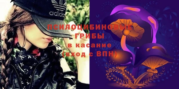 крисы Беломорск