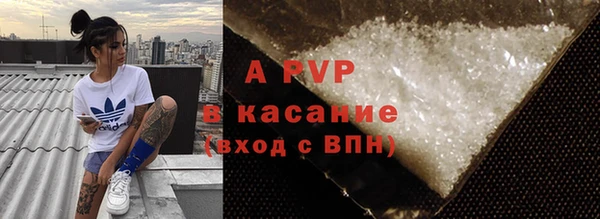 индика Белоозёрский